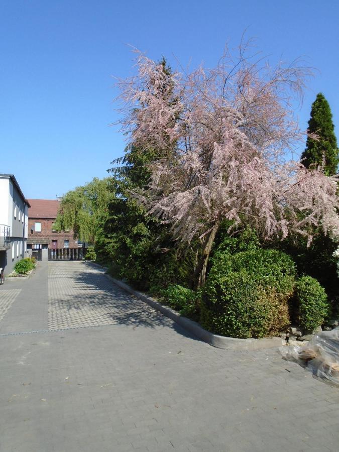 Villa Art Korab Gliwice Bagian luar foto